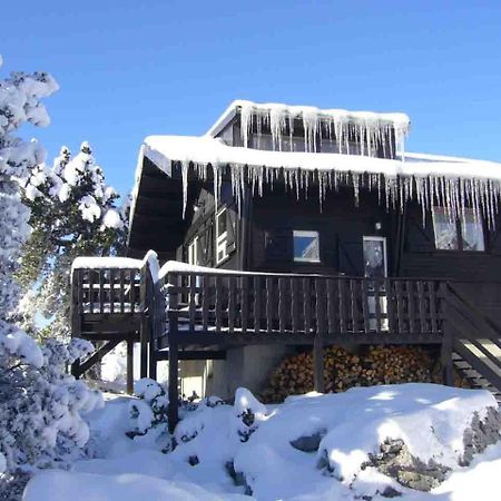 Chalet Des Myrtilles - Chalet Cosy Avec Vue Arette Ngoại thất bức ảnh