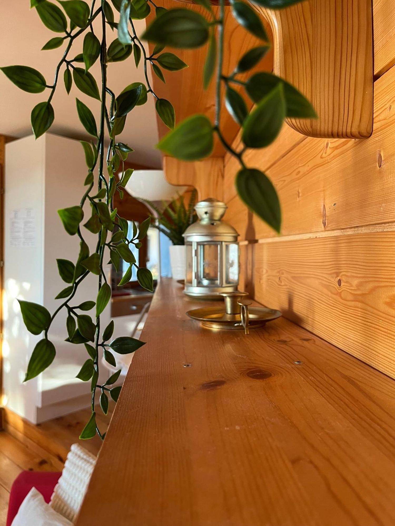 Chalet Des Myrtilles - Chalet Cosy Avec Vue Arette Ngoại thất bức ảnh